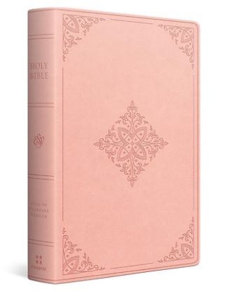 Picture of ESV Large Print Value Personal Size Bible, Red Letter (Trutone, River Stone, Branch Design)