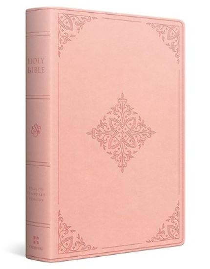 Picture of ESV Large Print Value Personal Size Bible, Red Letter (Trutone, River Stone, Branch Design)