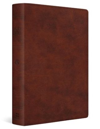 Picture of ESV Giant Print Personal Size Bible (Trutone, Chestnut)