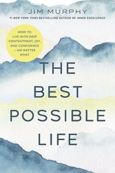 Picture of The Best Possible Life