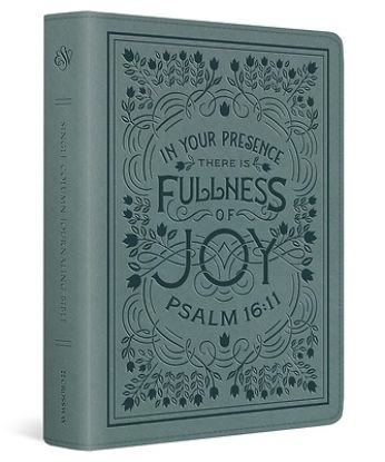 Picture of ESV Single Column Journaling Bible (Trutone, Paris Sky, Psalm 16