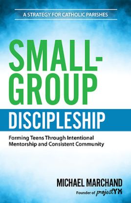 Picture of Small-Group Discipleship