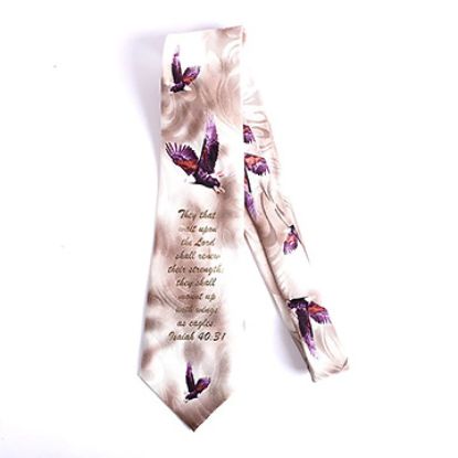 Picture of Mount Up with Wings Brown Tie