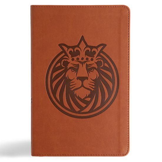 Picture of CSB Kids Bible, Anglicised Edition, Lion Leathertouch
