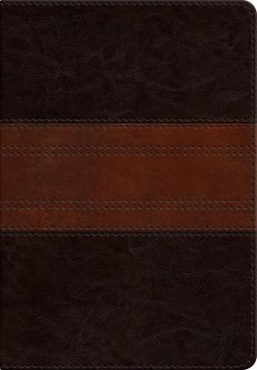 Picture of ESV Large Print Personal Size Bible, Red Letter (Trutone, Forest/Tan, Trail Design)