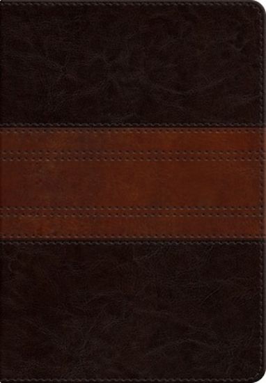 Picture of ESV Large Print Personal Size Bible, Red Letter (Trutone, Forest/Tan, Trail Design)