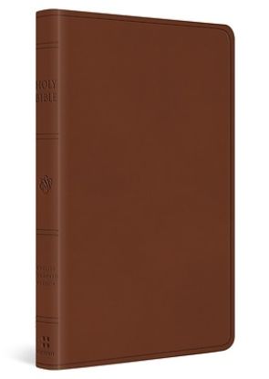 Picture of ESV Large Print Value Thinline Bible (Trutone, Camel)