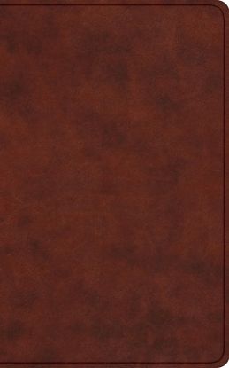 Picture of ESV Vest Pocket New Testament with Psalms and Proverbs, Red Letter (Trutone, Chestnut)