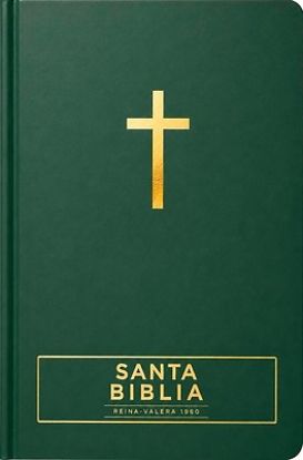 Picture of Santa Biblia Reina-Valera 1960 - Visual Con Mapas Mentales (Tapa Dura, Verde, Letra Roja)