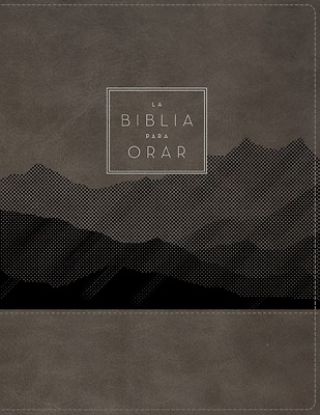 Picture of Rvr60, La Biblia Para Orar, Leathersoft, Gris, Palabras de Jesús En Rojo, Comfort Print