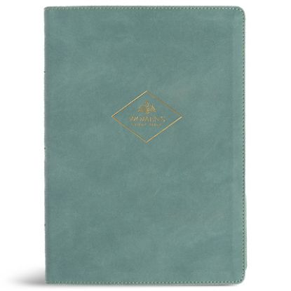 Picture of CSB Women's Study Bible, Earthen Teal Suedesoft Leathertouch, Indexed
