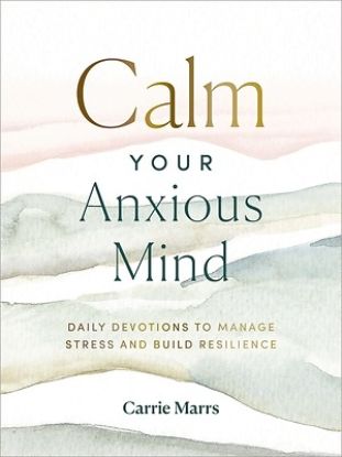 Picture of Calm Your Anxious Mind