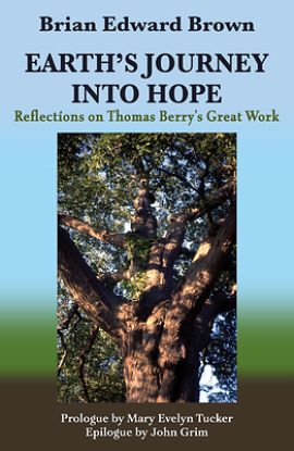 Picture of Earth's Journey Into Hope