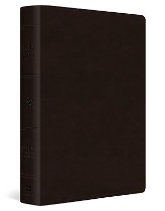 Picture of ESV Giant Print Bible (Trutone, Deep Brown)