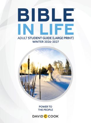 Picture of Bible in Life Adult Student Book Large Print Winter