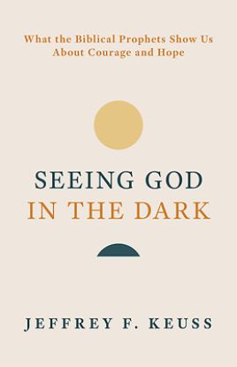 Picture of Seeing God in the Dark