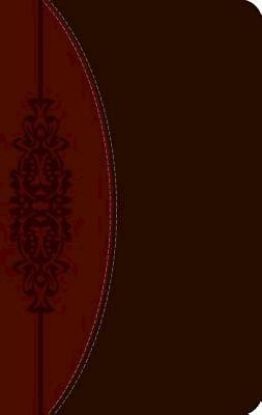 Picture of The CEB Wesley Study Bible, DecoTone