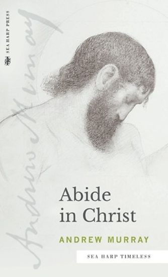 Picture of Abide in Christ (Sea Harp Timeless series)