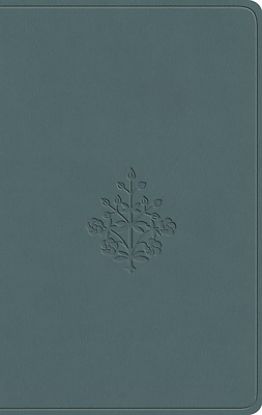 Picture of ESV Value Compact Bible (Trutone, Paris Sky, Branch Design)