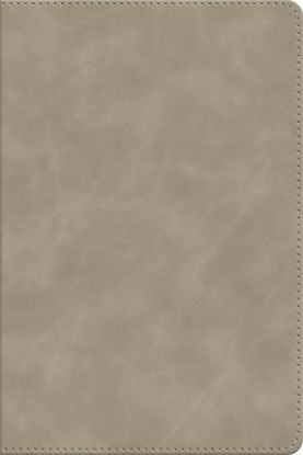 Picture of ESV Beholding Christ Bible