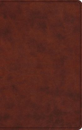 Picture of ESV Large Print Value Thinline Bible (Trutone, Chestnut)