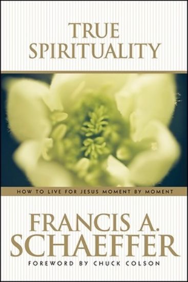 Picture of True Spirituality