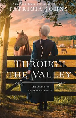Picture of Through the Valley