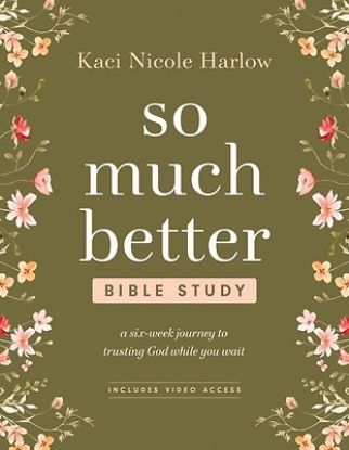 Picture of So Much Better Bible Study with Streaming Video Access