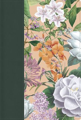 Picture of Rvr 1960 Letra Grande Tamaño Manual, Edición Especial, Verde Jardín, Símil Piel