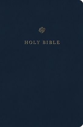 Picture of ESV Gift and Award Bible (Trutone, Blue)