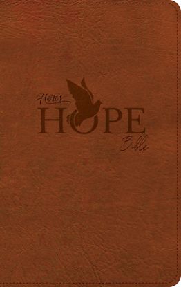 Picture of CSB Here's Hope Bible, Burnt Sienna Leathertouch