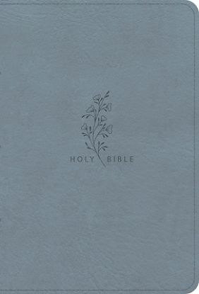 Picture of CSB Giant Print Reference Bible, Optimal Type, Digital Study Edition, Weathered Blue Leathertouch