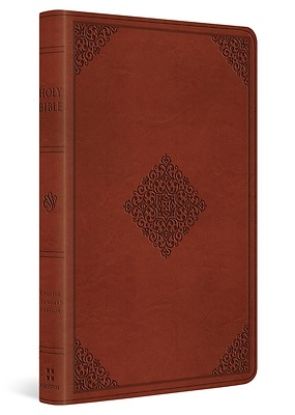 Picture of ESV Large Print Value Thinline Bible (Trutone, Tan, Ornament Design)