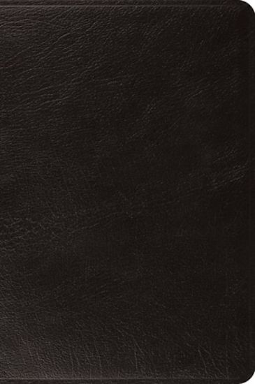 Picture of ESV Large Print Bible (Top Grain Leather, Black)
