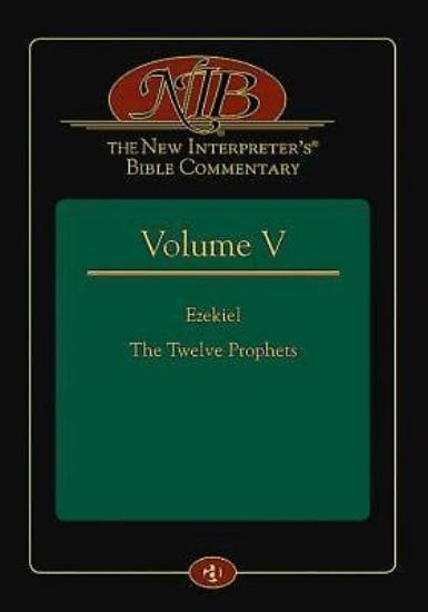 Picture of The New Interpreter's® Bible Commentary Volume V