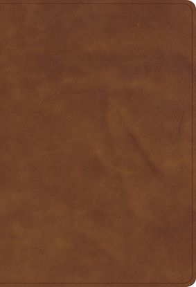 Picture of CSB Thinline Bible, Optimal Type, Holman Handcrafted Collection, Marbled Chestnut Premium Calfskin