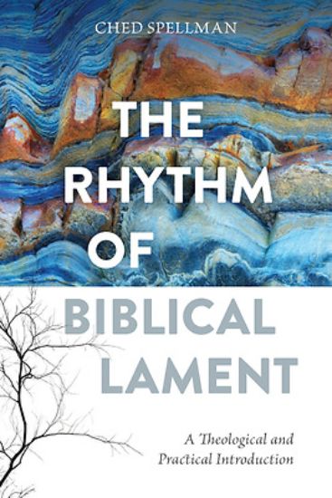 Picture of The Rhythm of Biblical Lament
