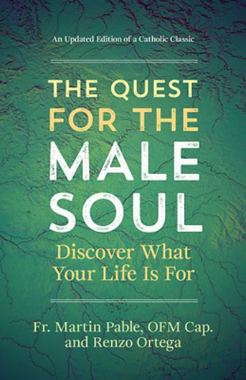 Picture of The Quest for the Male Soul