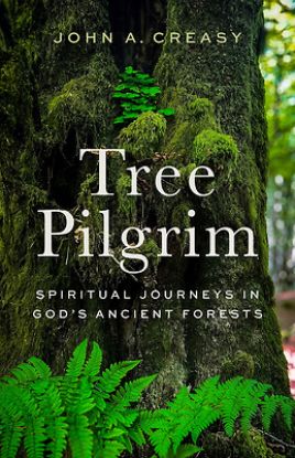 Picture of Tree Pilgrim