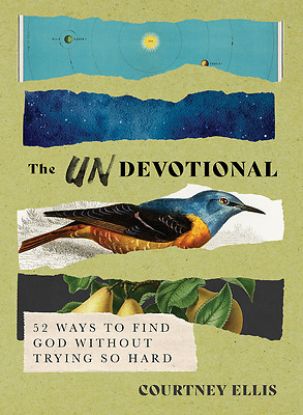 Picture of The Undevotional
