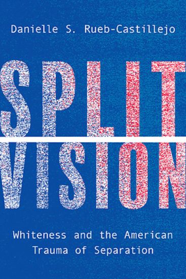 Picture of Split Vision