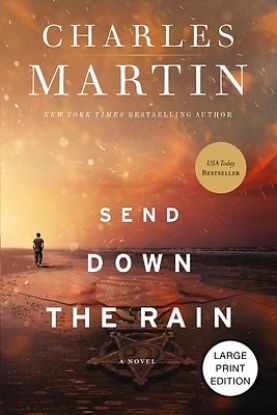 Picture of Send Down the Rain