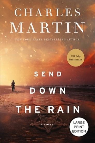Picture of Send Down the Rain