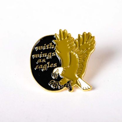 Picture of Lapel Pin With Wings As Eagles