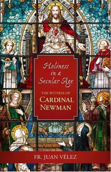 Picture of Holiness in a Secular Age