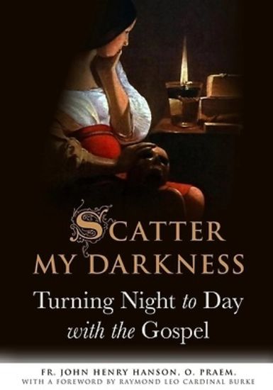 Picture of Scatter My Darkness