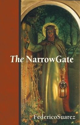 Picture of The Narrow Gate