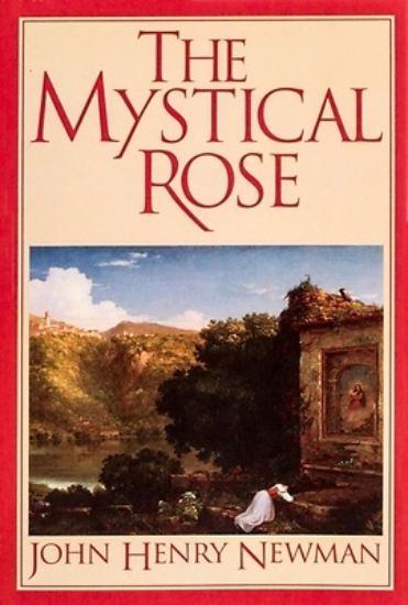 Picture of Mystical Rose
