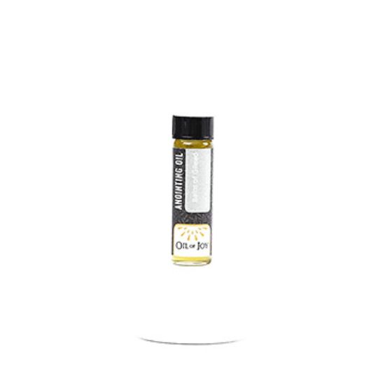 Picture of Anointing Oil Balm of Gilead 1/4 OZ. PK6