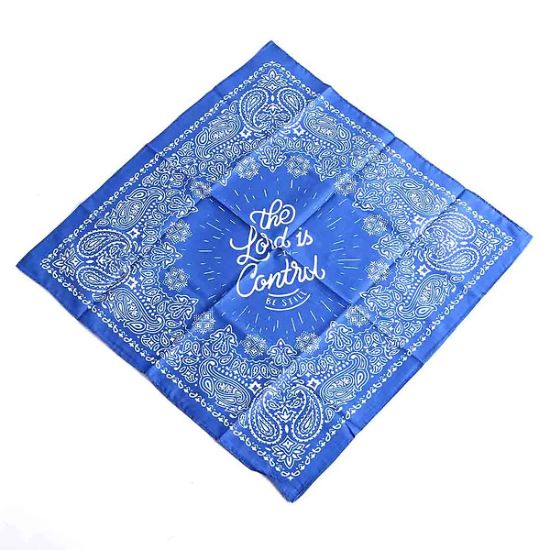 Picture of Bandana Lord in Control - Blue